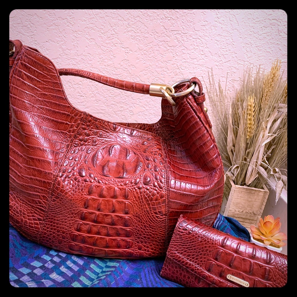 Brahmin Hobo